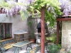 horice_jaro_1